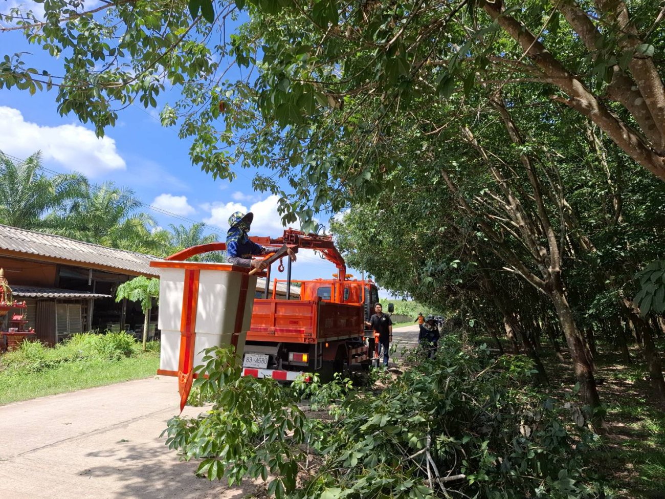 เทศบาลตำบลไค้นุ่นตัดแต่งกิ่งไม้เส้นทางบ้านผึ้ง–บ้านสันป่าแดง กองช่างสนับสนุนรถกระเช้าจนภารกิจแล้วเสร็จ
